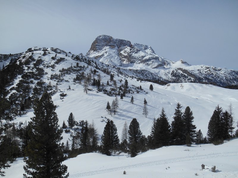 105 Il fascino della neve Bettiol