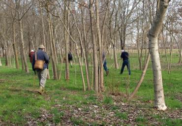 93 Andando a saundersii Scarpa