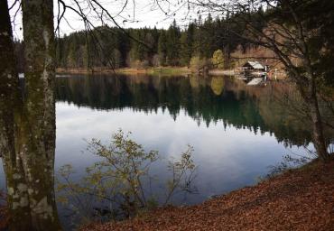94 Autunno Moro