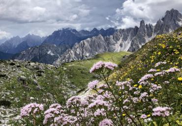 2 Vista sui Cadini di Misurina Dalla Torre