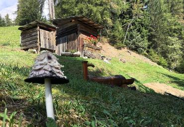 5 Il coprino e la fontana Pavan