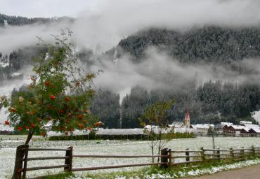 6 Neve d'agosto porcino non ti conosco Gracis