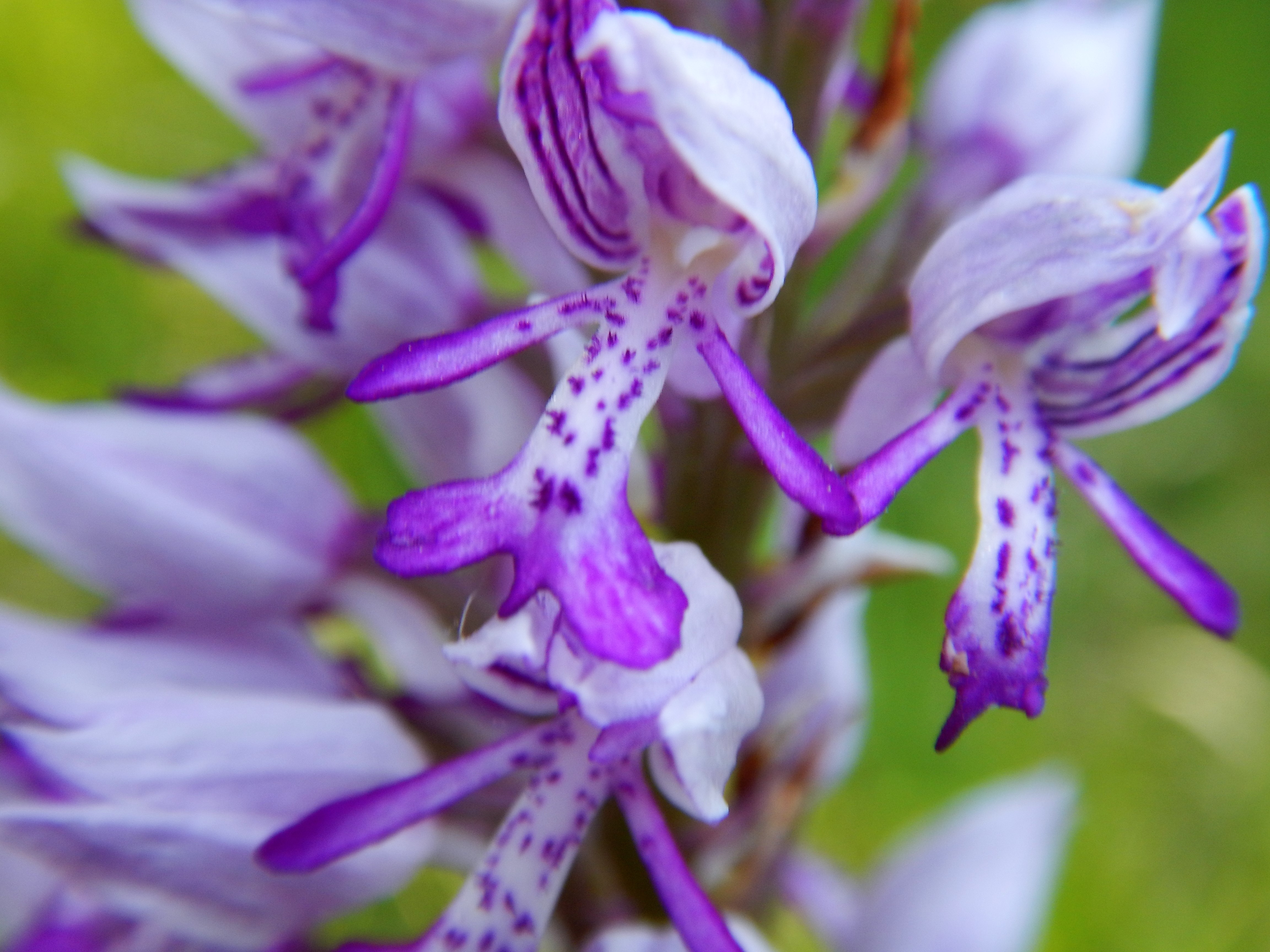 DSCN2317b