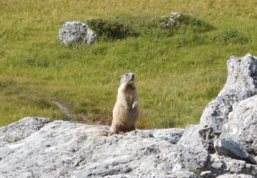 DSCN2547.JPGL