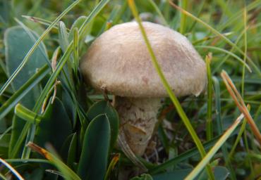 DSCN2548.JPGL