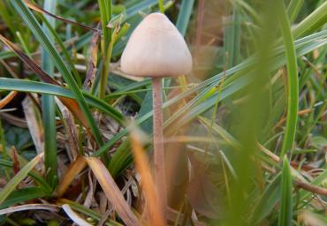 DSCN2550.JPGL