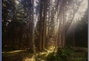 Un raggio di sole
