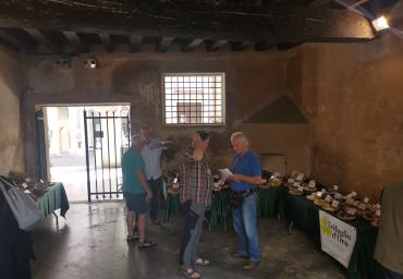 mostra Conegliano 2024