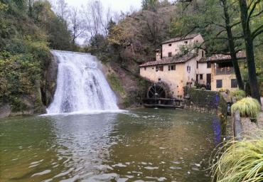 IMG-20241026-WA0018