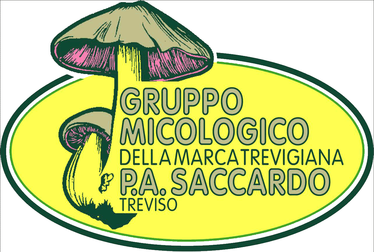 Gruppo Micologico Saccardo